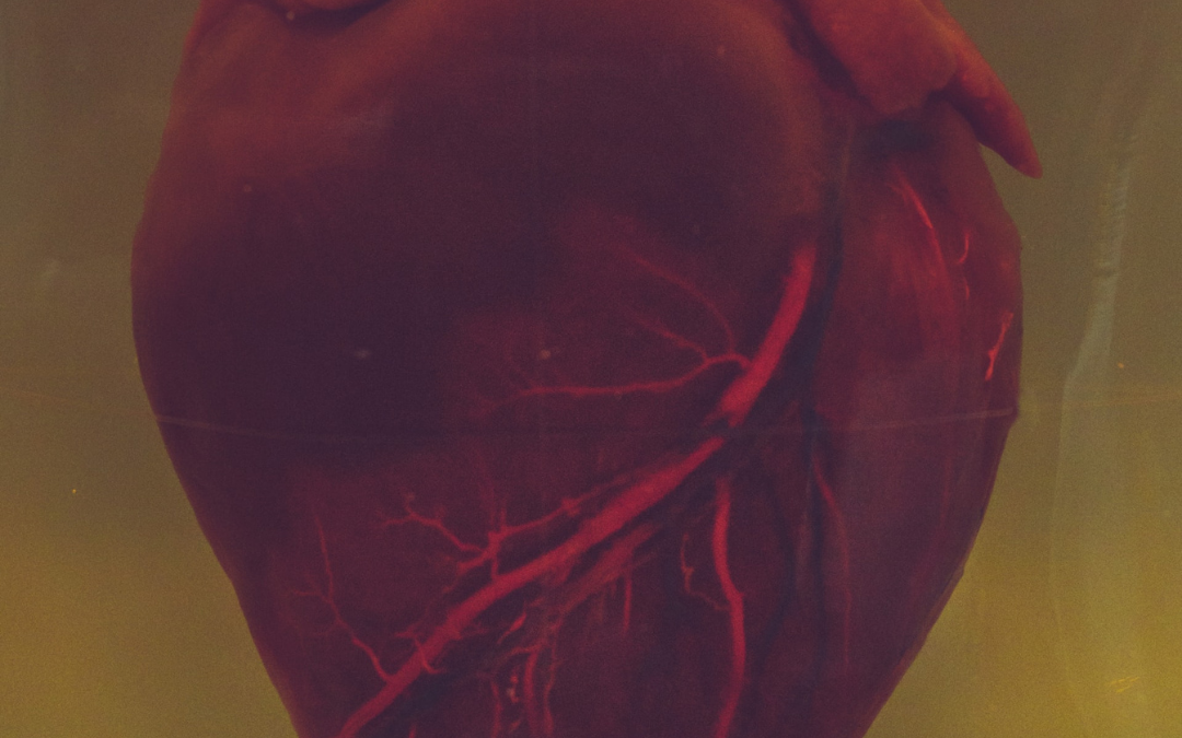 THIS IS YOUR HEART WITH METABOLIC DYSFUNCTION